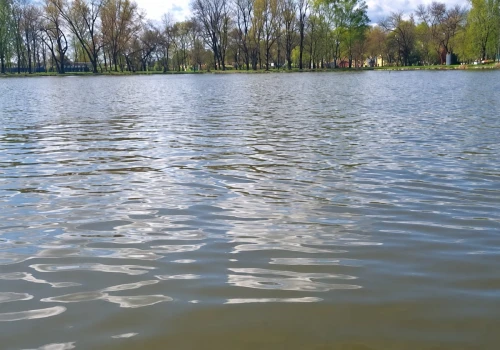 Zalew Nowohucki będzie oczyszczony. Powstanie roślinny filtr wody