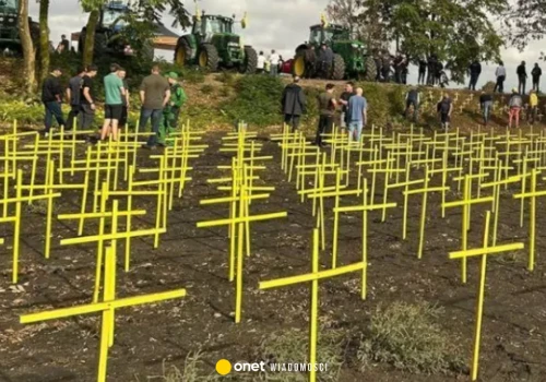 Żółte krzyże pojawiły się we Francji. Każdy z nich coś symbolizuje