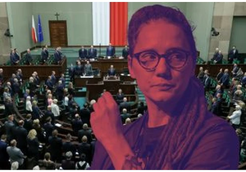 "Zagrywka polityczna, a nie sukces". Gorzkie słowa aktywistki po decyzji Sejmu