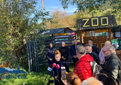 ZOO Łączna. Nowe ustalenia po spotkaniu wojewody z prokuraturą. Co ze zwierzętami i otwarciem ogrodu?