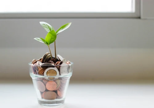 Polskie startupy zebrały ponad 5 mld zł. Ale dwie firmy odpowiadają za 74% tej kwoty
