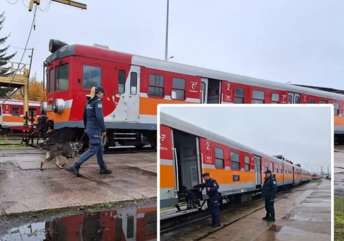 Niezawodny nos w walce z przestępczością. Wyjątkowe ćwiczenia w wagonach POLREGIO