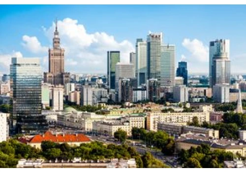 Sosny przebijają dach tego domu. Architekci nie chcieli wycinać drzew. Niezwykły projekt w Warszawie