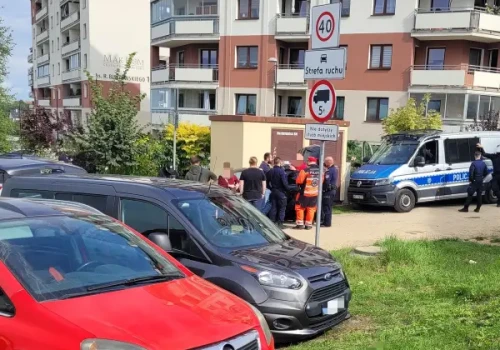Zaginęła w południe, odnaleźli ją w podmokłym terenie. Szczęśliwy finał dramatycznych poszukiwań w Olsztynie