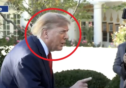Sceny pod Białym Domem, Trump wściekł się na dziennikarkę. Żenujący atak! „Jesteś głupią osobą”