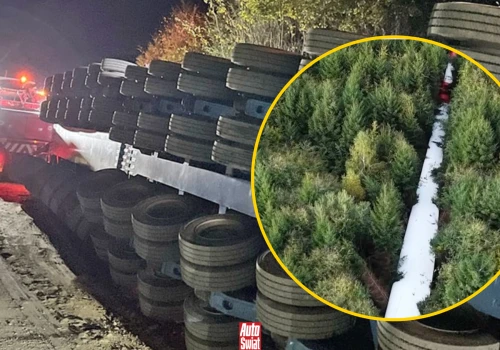 Ogromna łopata turbiny runęła między drzewa. 135 ton spowodowało miliony strat