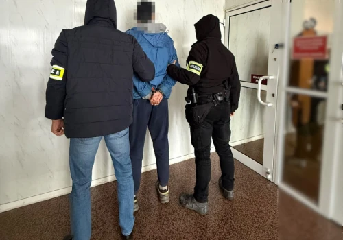 Kradzież psa ze schroniska na Paluchu. 51-latek tłumaczył, że chciał zabrać go na spacer