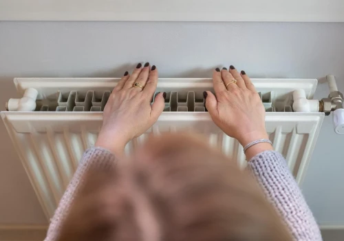 Weź to z łazienki i idź do kaloryfera. Kurz wyleci nawet z najgłębszych zakamarków