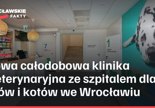 Nowa całodobowa klinika weterynaryjna ze szpitalem dla psów i kotów we Wrocławiu