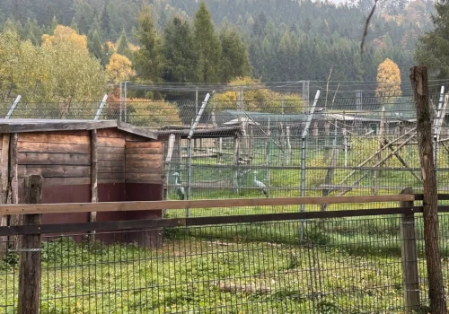 ZOO Łączna – kiedy otwarcie? Radni apelują, prokuratura zapowiada zmiany. Co wydarzyło się 22 października?