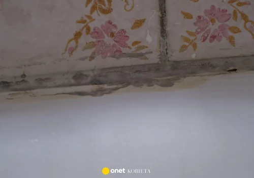 Jak usunąć pleśń z fug w łazience? Trik z papierem toaletowym