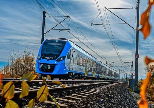Pasażerowie dybią na rydza