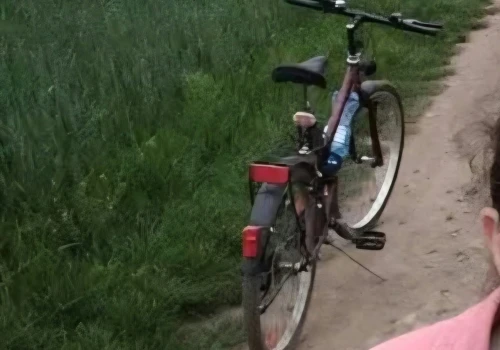 Skradziono rower w okolicach Prokuratury Rejonowej w Świdnicy