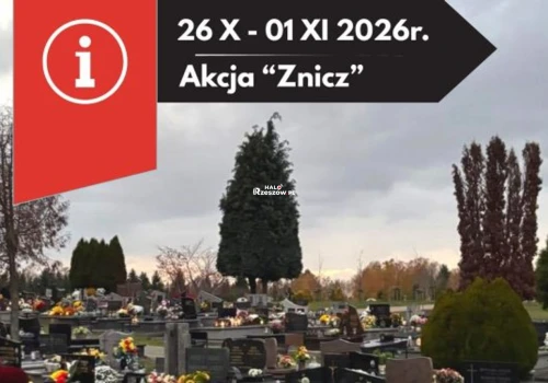 Wszystkich Świętych w Rzeszowie. Sprawdź, jak dojedziesz autobusami na cmentarze