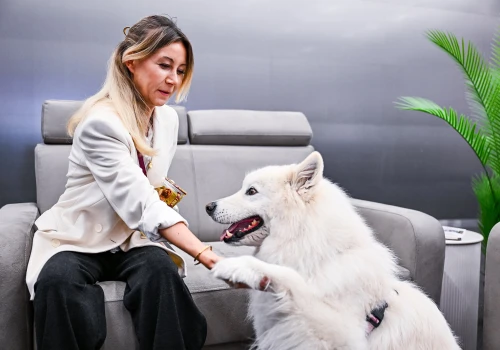 Yogi podbił serca uczestników Future Pet Food! O świadomej opiece nad psami w Expo Kielce