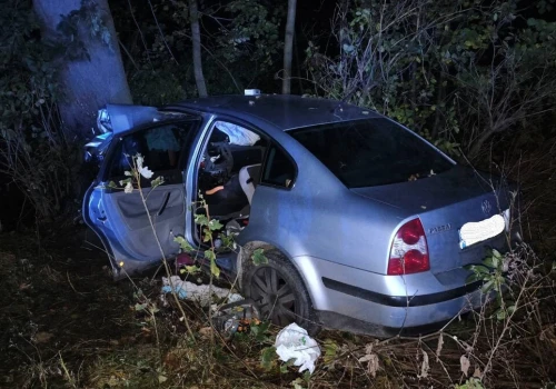 Wypadek w miejscowości Poniatowo. Kierowca z nieznanych przyczyn wjechał do rowu.
