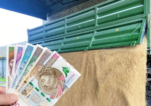 Pszenica na giełdzie tanieje, a w Polsce drożeje. Ceny świń szorują po dnie. A co z bydłem i nawozami?