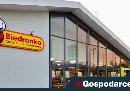 Niemieckie sieci sklepów dzielą i rządzą w Europie, a co z polskimi?
