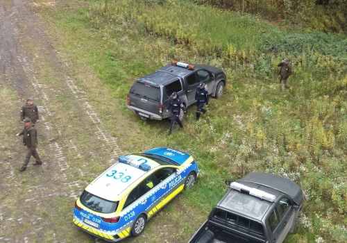 Nielegalnie wycinają gałęzie na ozdoby cmentarne. W całym regionie trwają kontrole lasów