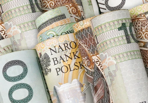 Myślisz, że Twoje problemy z pieniędzmi to tajemnica? Ten rejestr jest jawny, darmowy i dostępny dla każdego