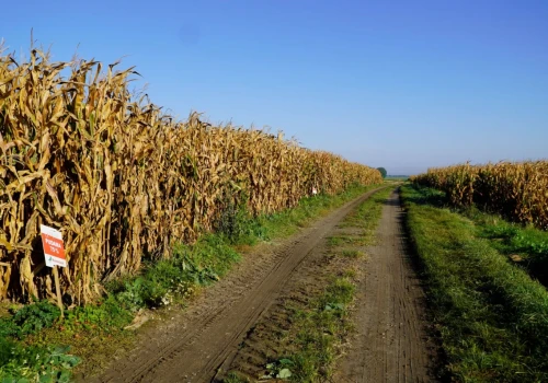 Równiarka dla gminy za 15 tys. zł. Ile naprawdę powinna kosztować taka maszyna?