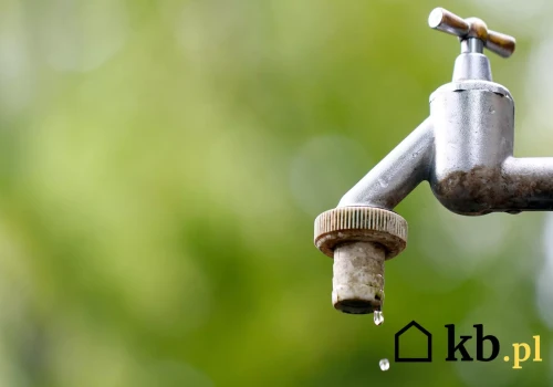 Nikt nie odkręcał kranu, a pompa w studni ciągle się włączała. Przyczyna była zaskakująca