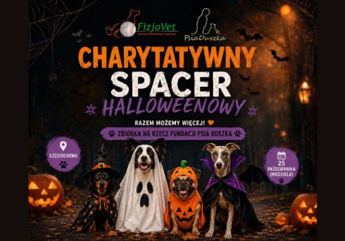 Halloweenowy spacer z psami w szczytnym celu. Będzie okazja, by pomóc zwierzętom