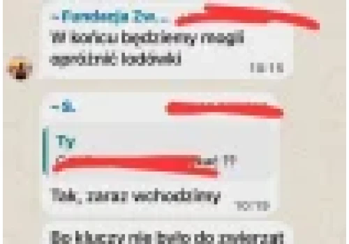 Patofundacje trzymały gotowe kości tygrysa w lodówce do podrzucenia w ZooŁączna?