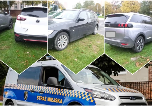 Potrącona sarna, parkowanie na trawniku, nielegalna toaleta za przystankiem. Interwencje straży miejskiej