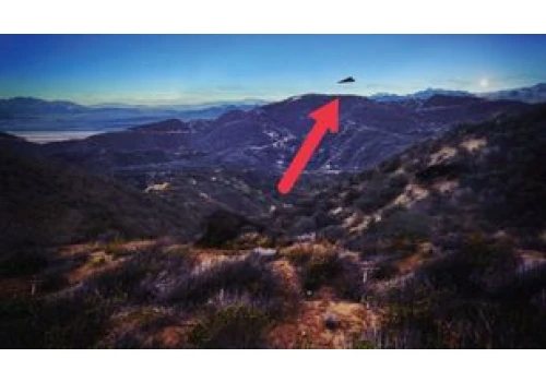 Trump odtajnia akta o UFO. 