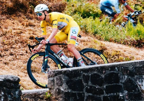 Dyrektor Tour Down Under o udziale Pogačara: „Chcielibyśmy znów zobaczyć, jak się tu ściga”