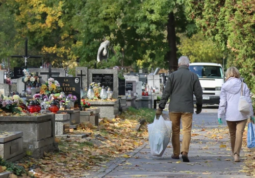 Nielegalne gałęzie trafiają na cmentarze. Trwają kontrole