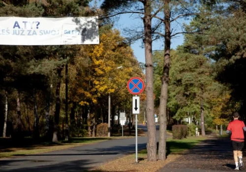 Sosina z płatnym parkingiem po sezonie. Sebastian Kuś: opłata nie ma ograniczać dostępu do terenów rekreacyjnych