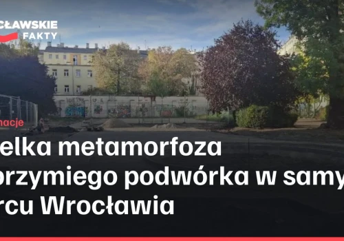 Wielka metamorfoza olbrzymiego podwórka w samym sercu Wrocławia
