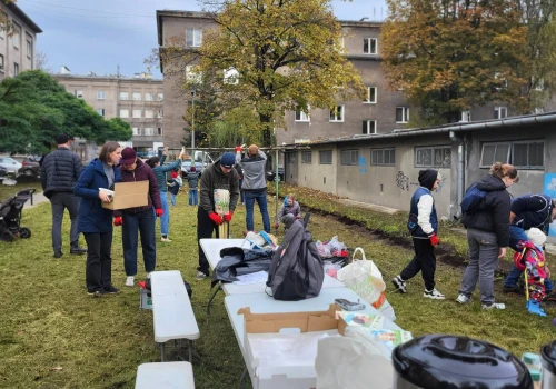 Setki roślin i wspólna praca. Sąsiedzka akcja na osiedlu Szkolnym