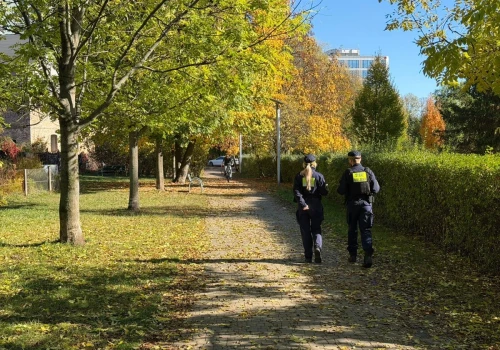 Tak wygląda Park Zaczarowanej Dorożki jesienią. Urokliwe miejsce na mapie Krakowa