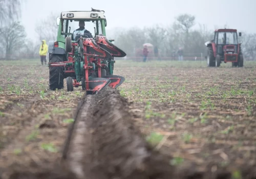 Rolnik zmarł bez dzieci. Żona może dostać tylko połowę gospodarstwa. Kto przejmie resztę?
