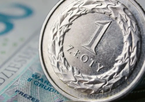 Zikom chce osiągnąć 100 mln zł przychodu i zadebiutować na giełdzie