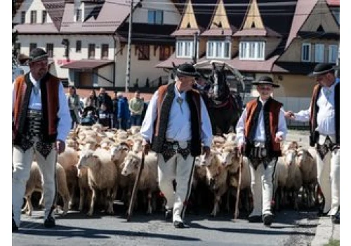 Rośnie popularność tradycyjnego zawodu. Więcej osób kończy szkolenia