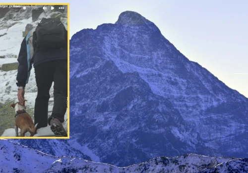 "Pomysłowość nie zna granic". Poszedł z psem w Tatry