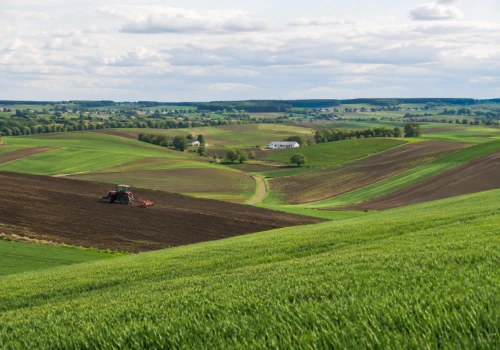Rolnik bierze pieniądze za dzierżawę pola. Musi zapłacić podatek?