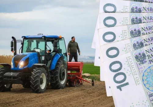 2407 zł za hektar gruntów ornych. Gdzie dzierżawa jest najdroższa?
