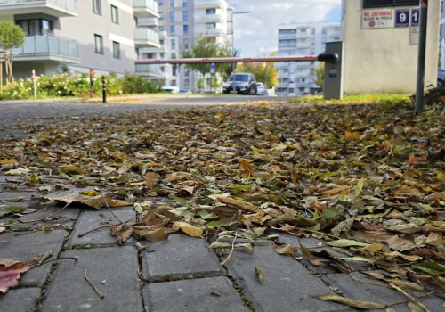 Liście zalegają na chodniku pod Twoim domem? Nie mamy dobrych wieści: To Ty musisz je sprzątnąć
