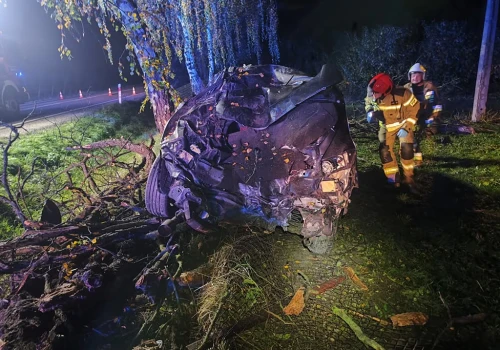 Samochód wbił się w ogrodzenie sadu. Kierowcę uwalniano sprzętem hydraulicznym