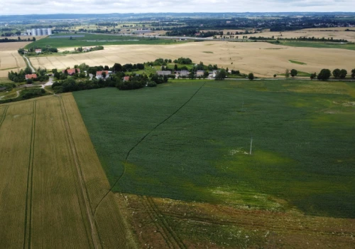 Mała wieś, ogromna inwestycja. Powstaną wieże dorównujące wysokością Sky Tower