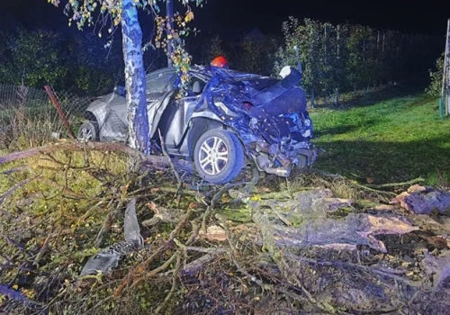 Groźny wypadek na DW577. Samochód roztrzaskał się na ogrodzeniu sadu