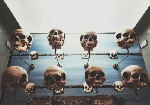 Homo erectus sprzed 2 mln lat. Odkrycie w „kolebce ludzkości” przesuwa datę pojawienia się człowieka