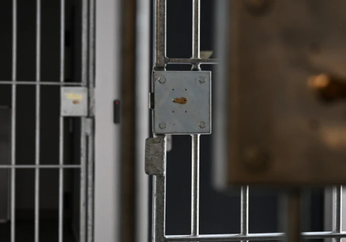 Rewolucja w czeskim prawie karnym? Chcą karać 13-latków jak dorosłych