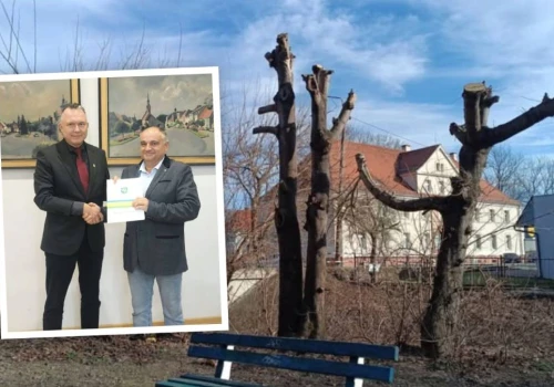 Park w Niemodlinie czekał na to dekady. Wykonawca ma rok na rewitalizację