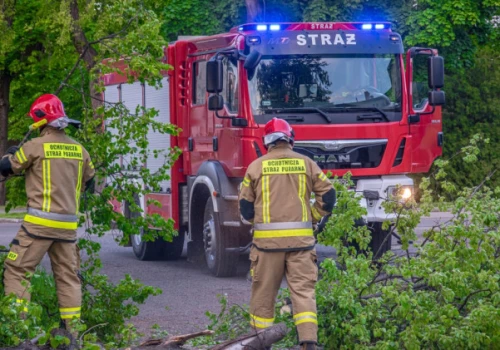 Silny wiatr w północnej Polsce. Drzewo spadło na cztery samochody